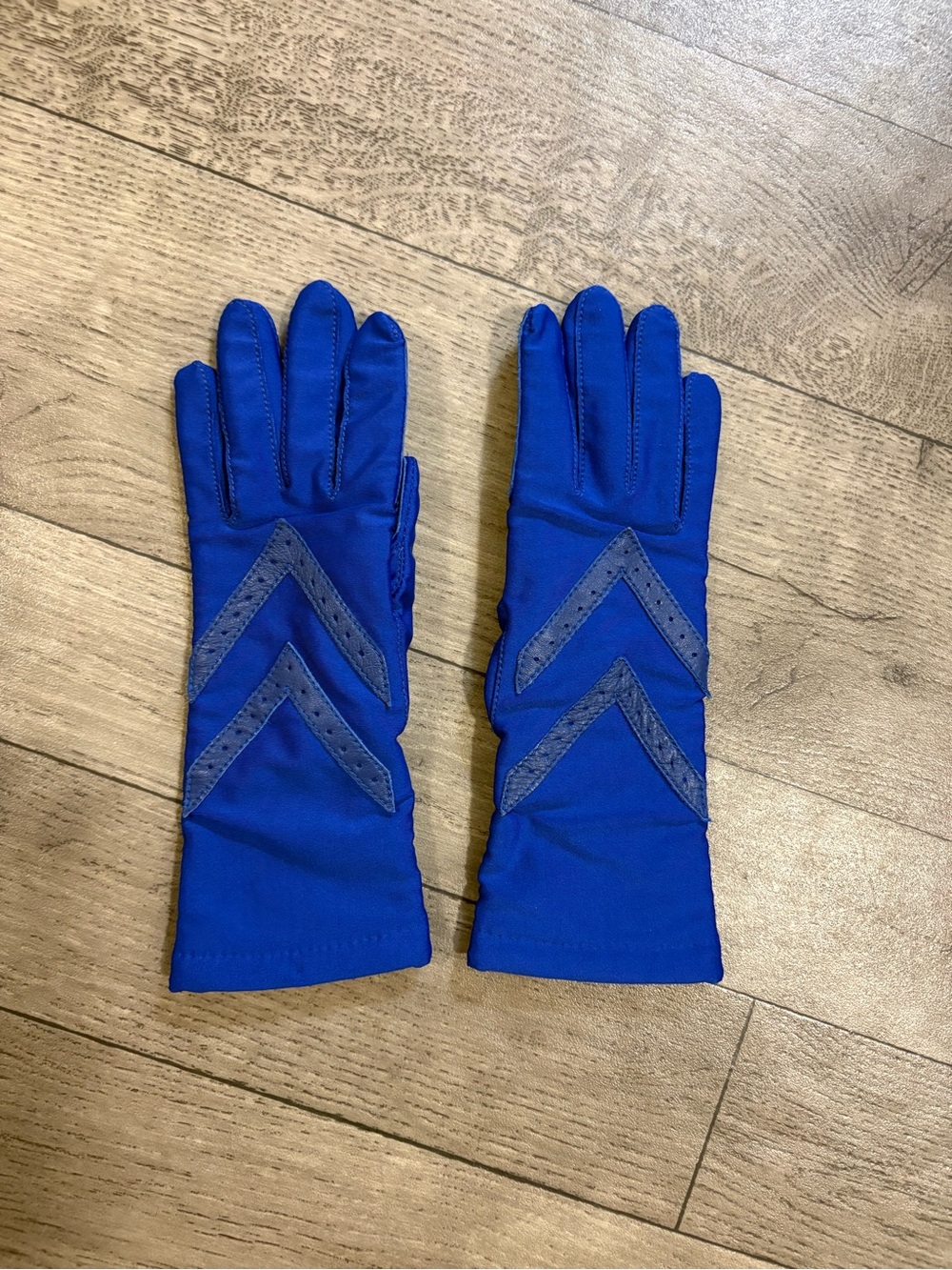 Isotoner 1990’s Royal Blue Gloves with Chevron Accents